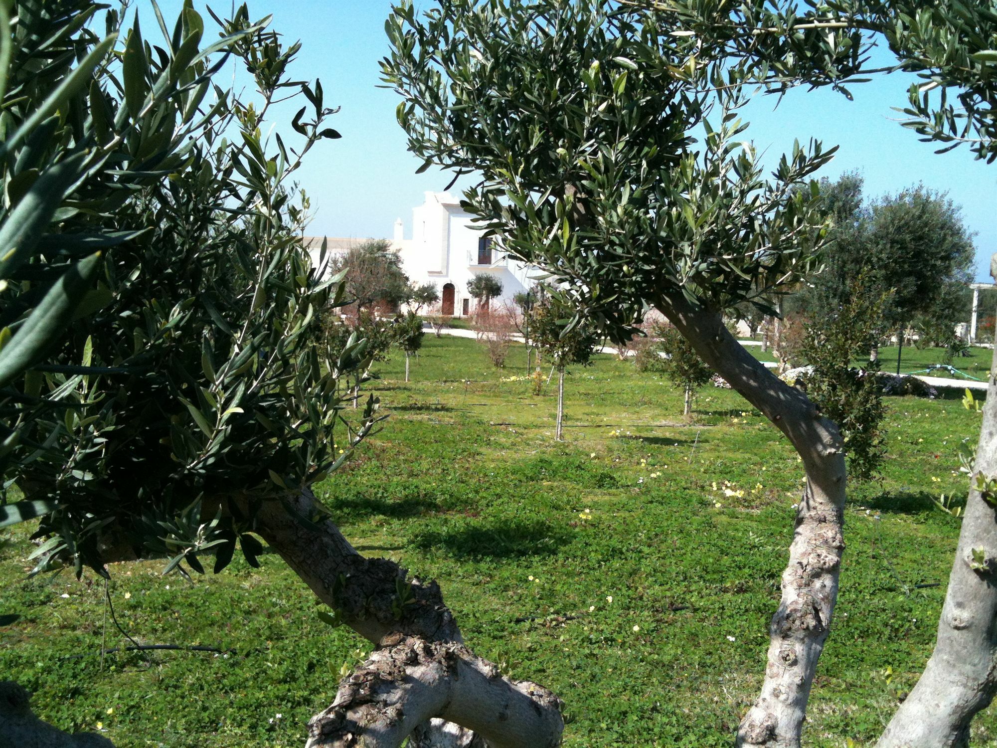 Casale del Murgese Country Resort Savelletri Esterno foto
